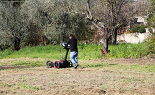 Montebuono